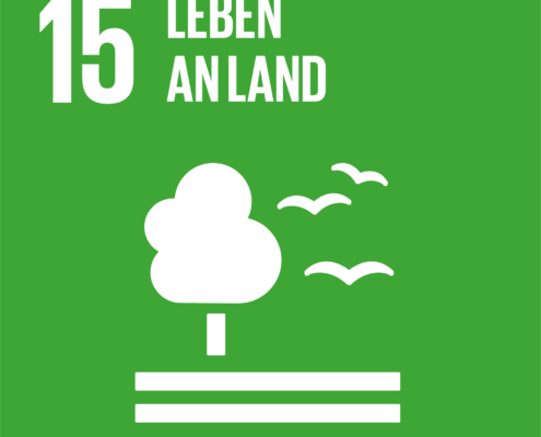 Leben an Land